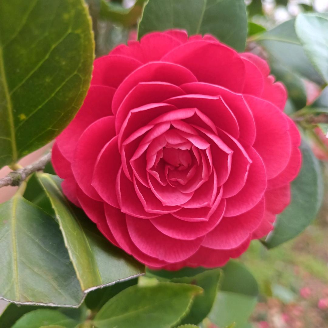 春暖花开👍️🎉💖