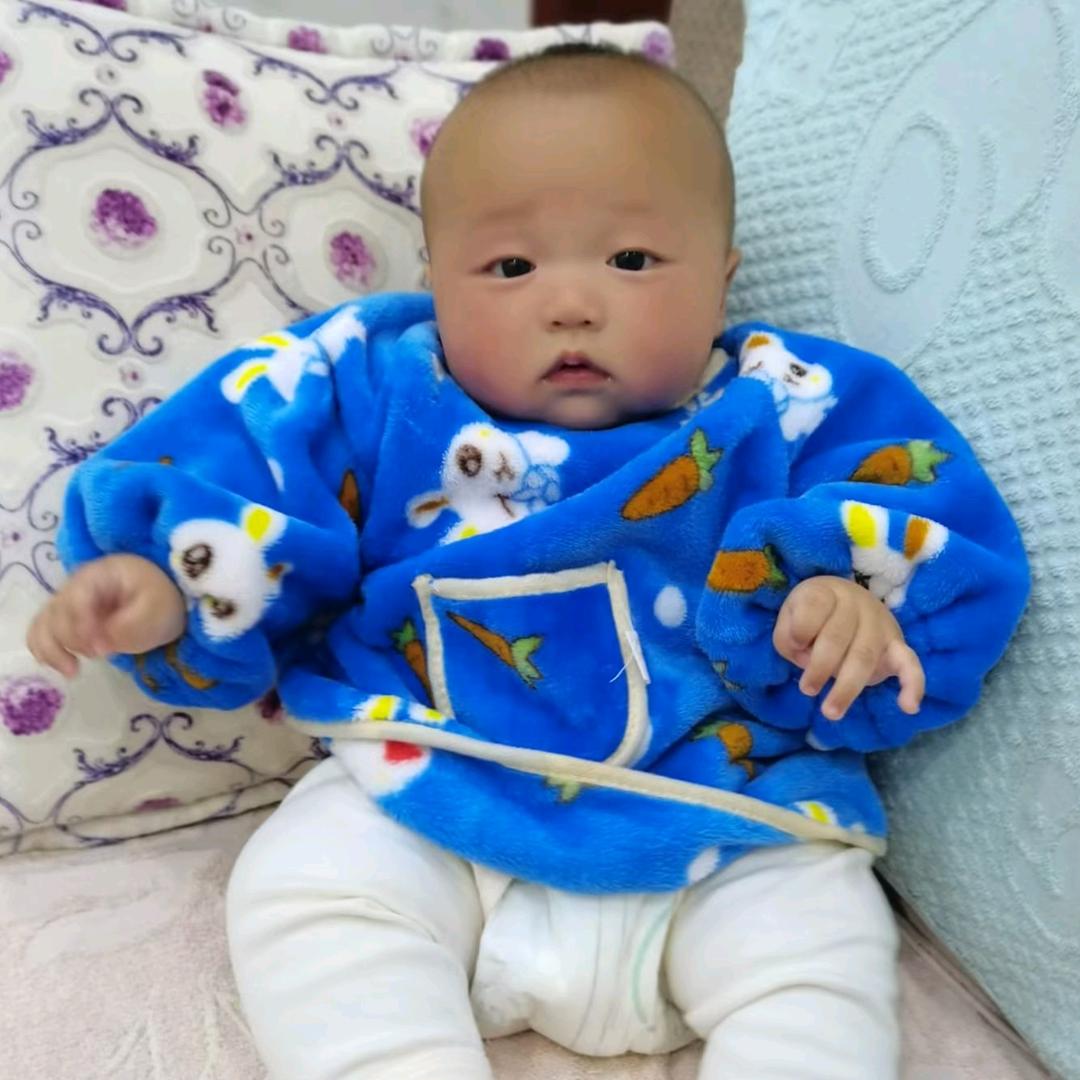 吉祥三宝杨🐭栩🐍迪🐯