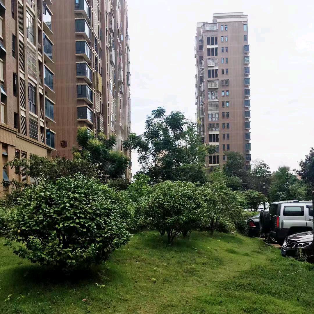 小肖的家🏠（自装中）