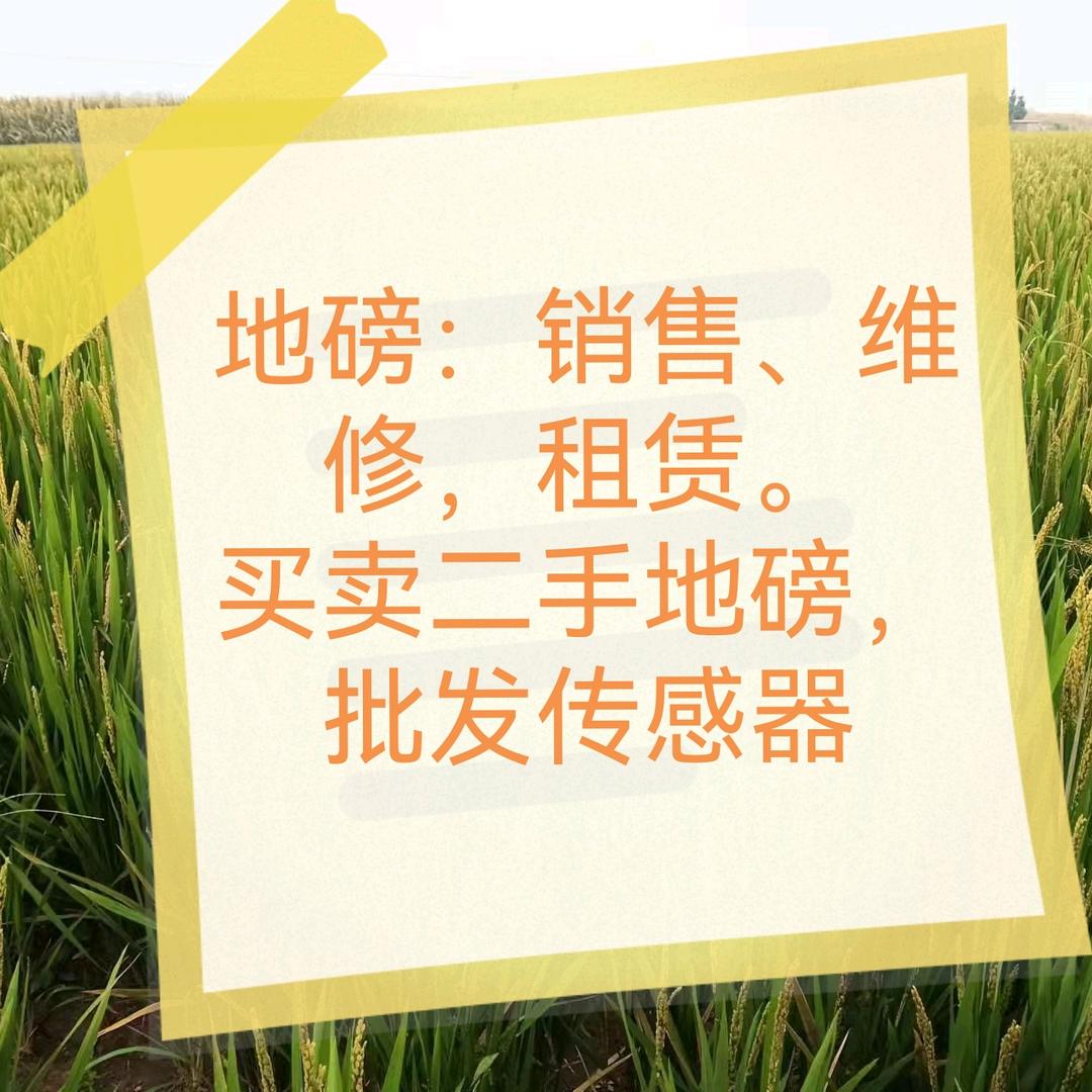 泰安衡器(地磅销售维修