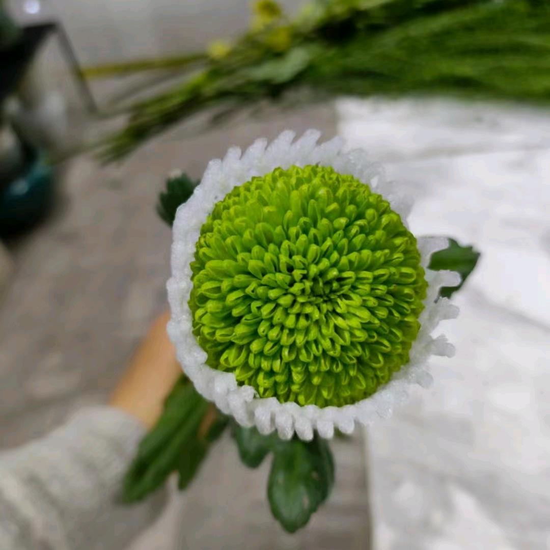 糖果分享初中科目