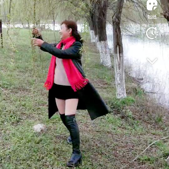 一枝梅🌻