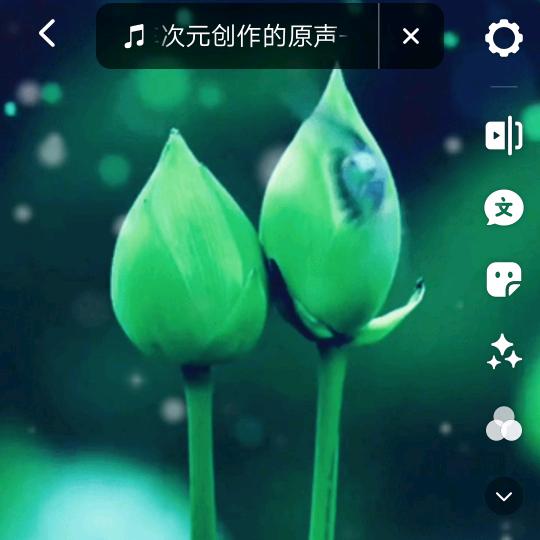 杜