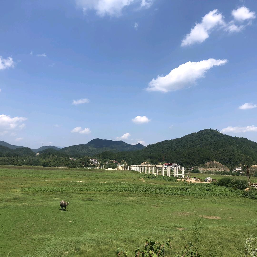 敬文房产  颜方