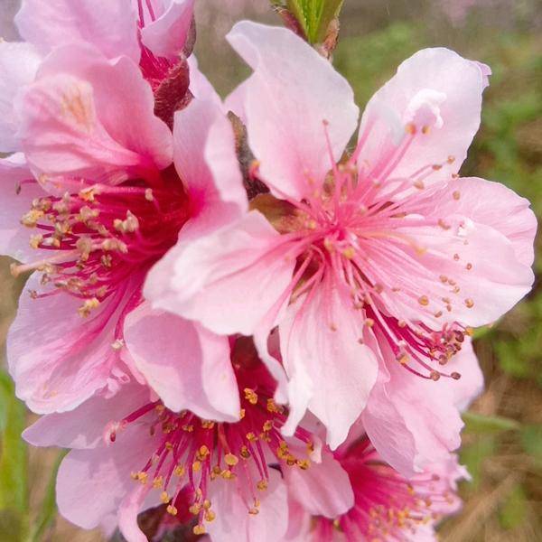 很幸运的遇见你♥