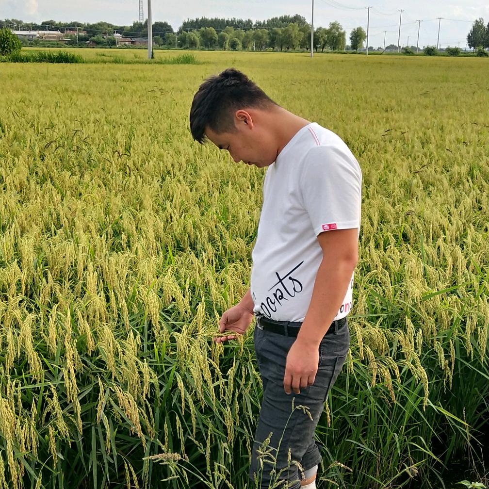 五常 大米 律秒