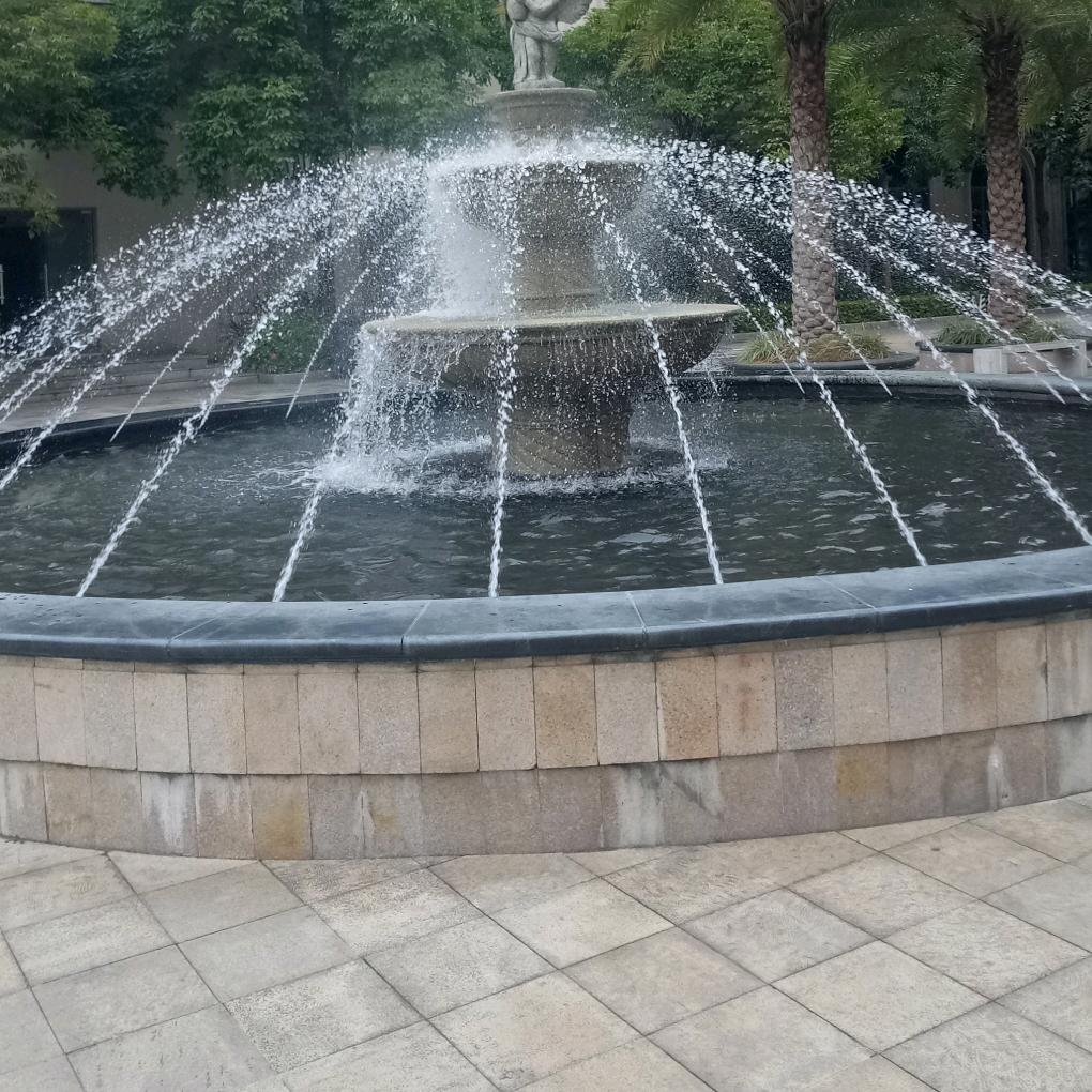 🌹🍀🌸🐭开心快乐就好🌹🐭