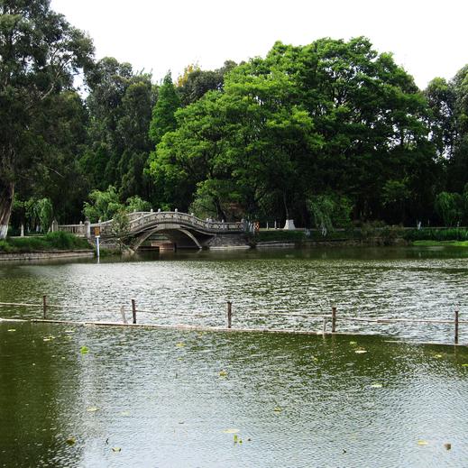 用户7389239092900TSX