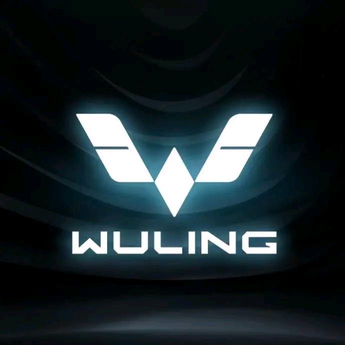 五菱汽车大姚总代理