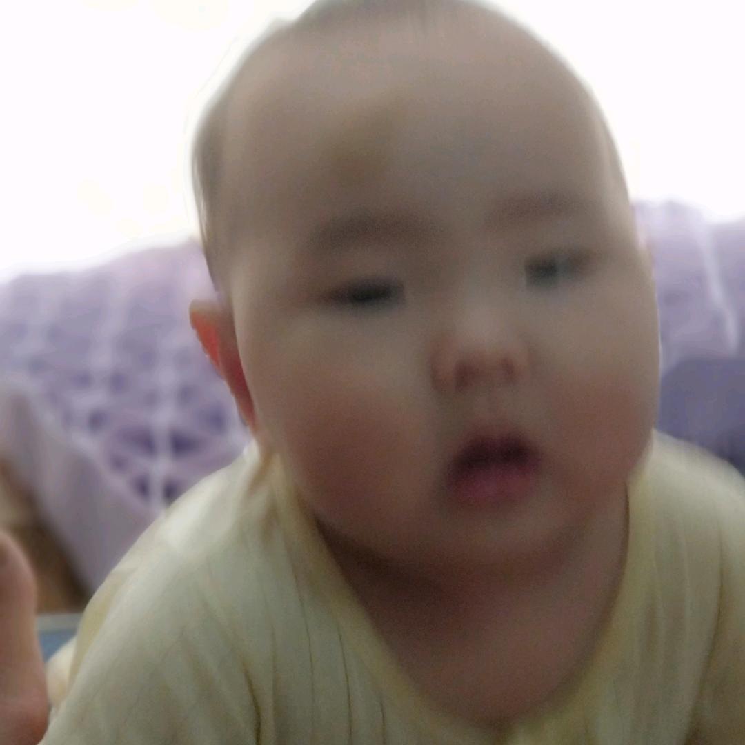 乐乐