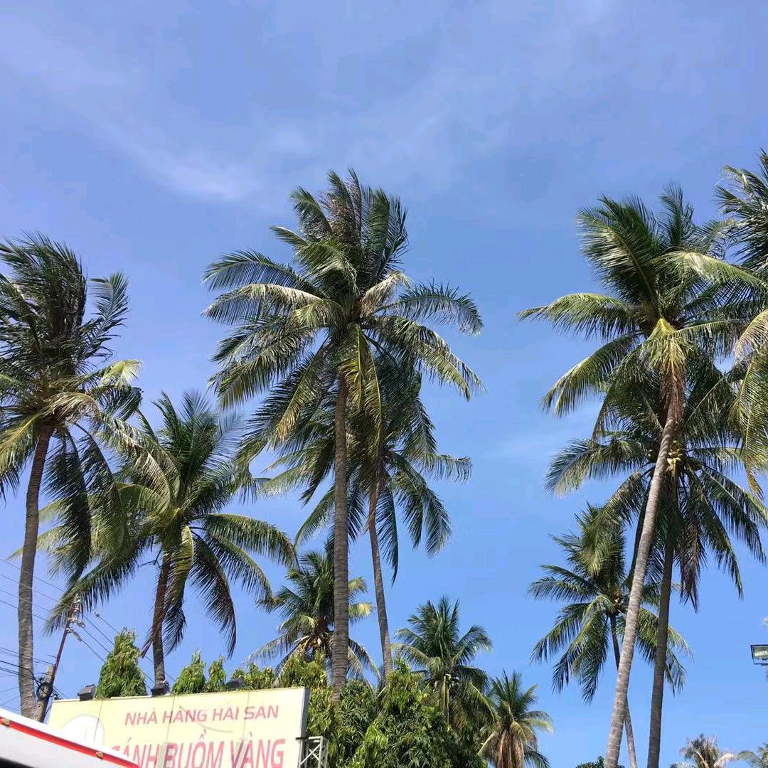 永远光辉