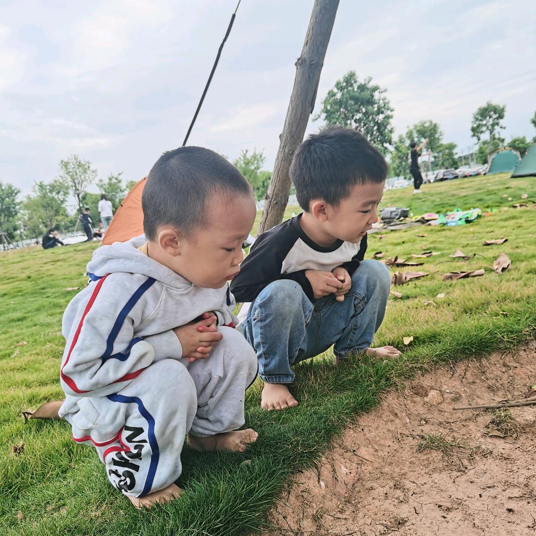 大维小维