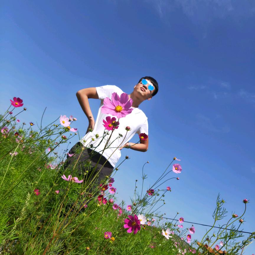 心波手机配件批发-波子