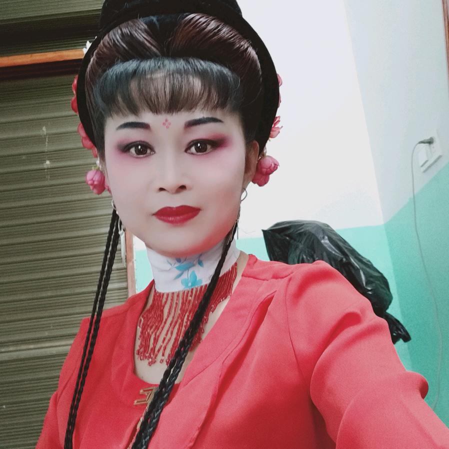 黄梅戏小梅花(梅韵)