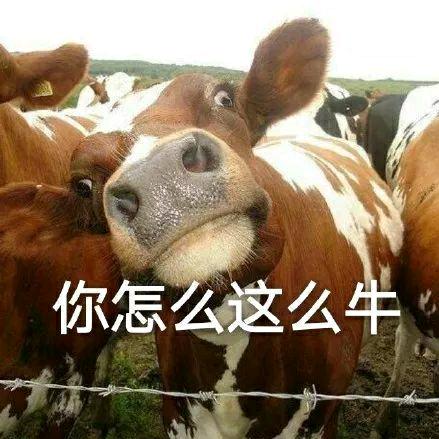 我就这么牛