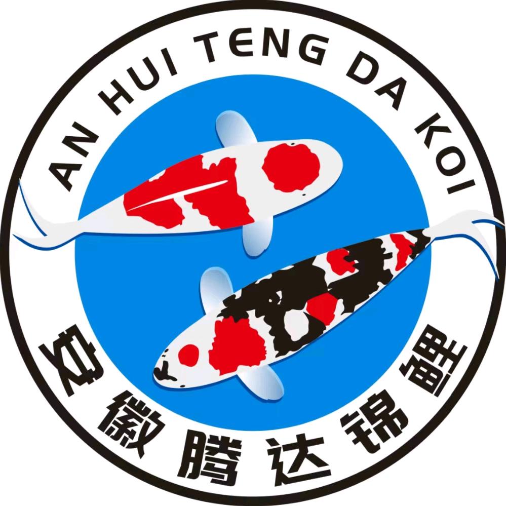 腾达锦鲤2