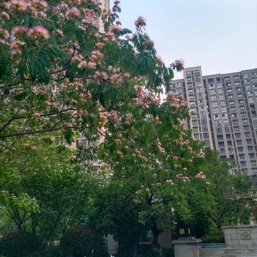 精英