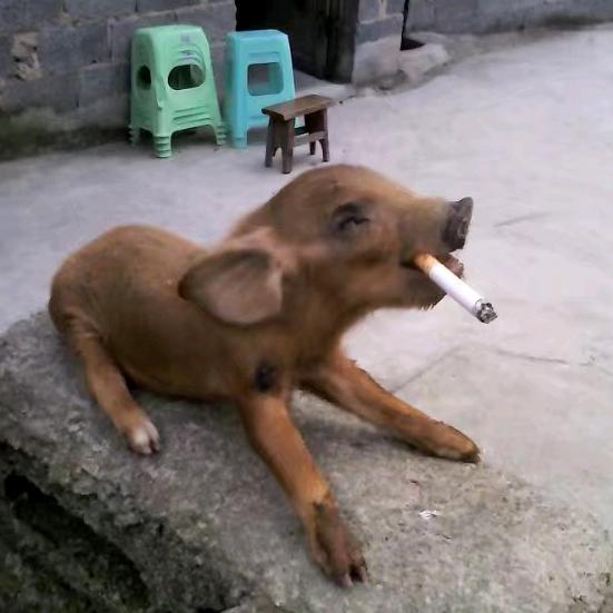 大罗天