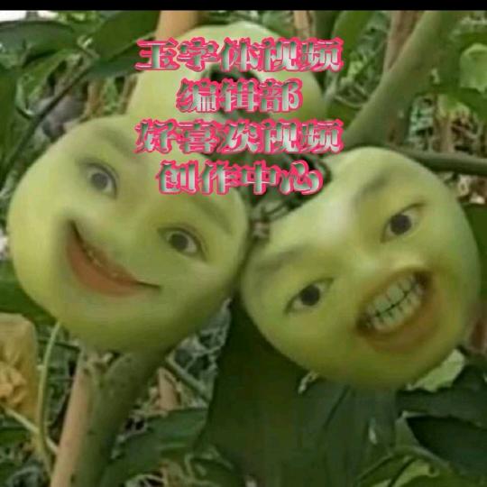 花开蝶自来_199403724