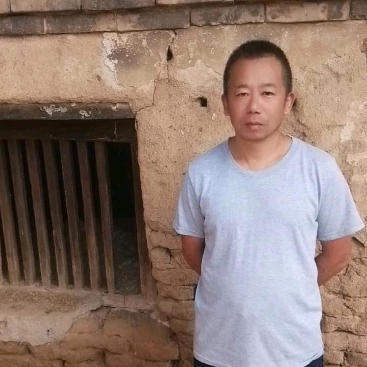 笨蛋