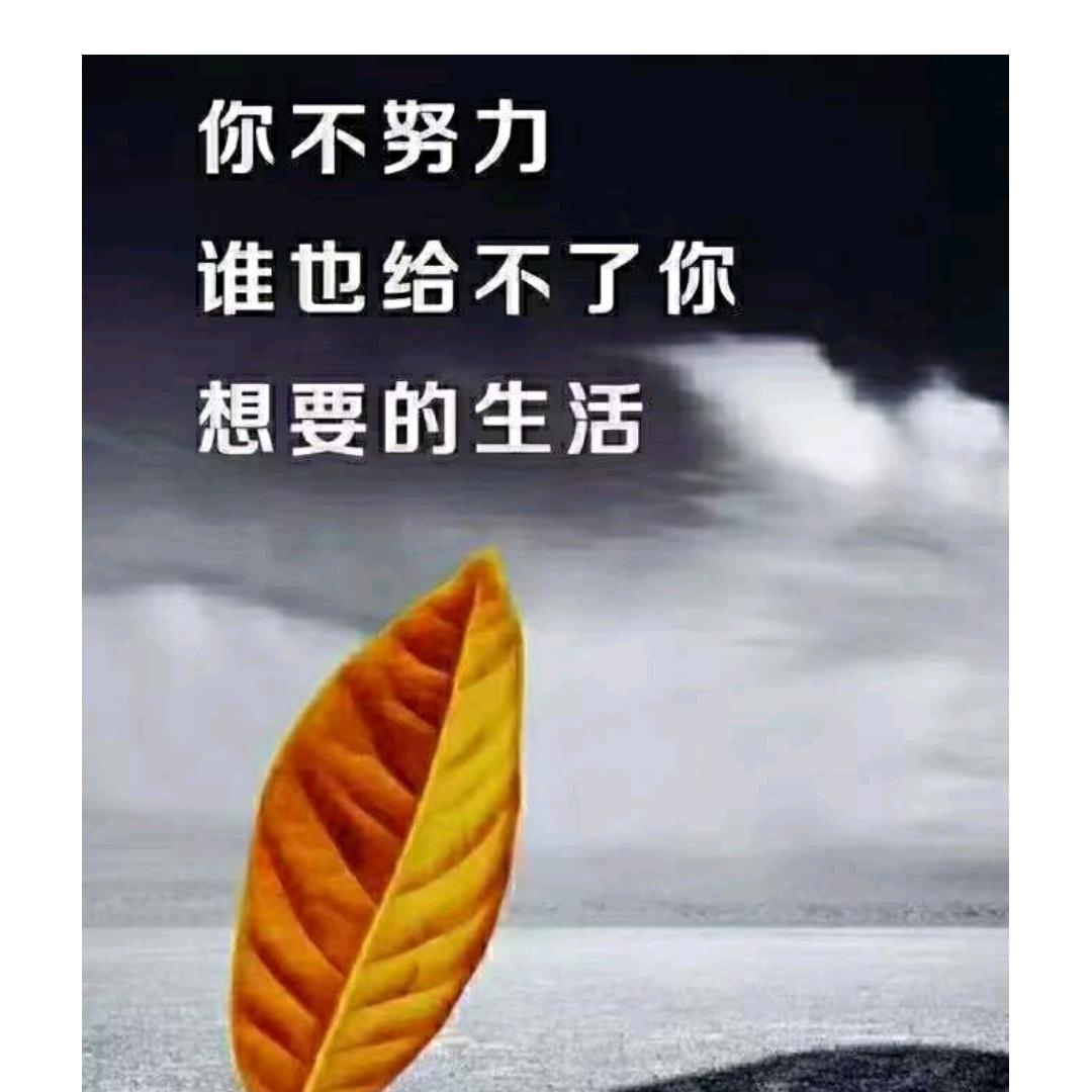 时光不负有心人！