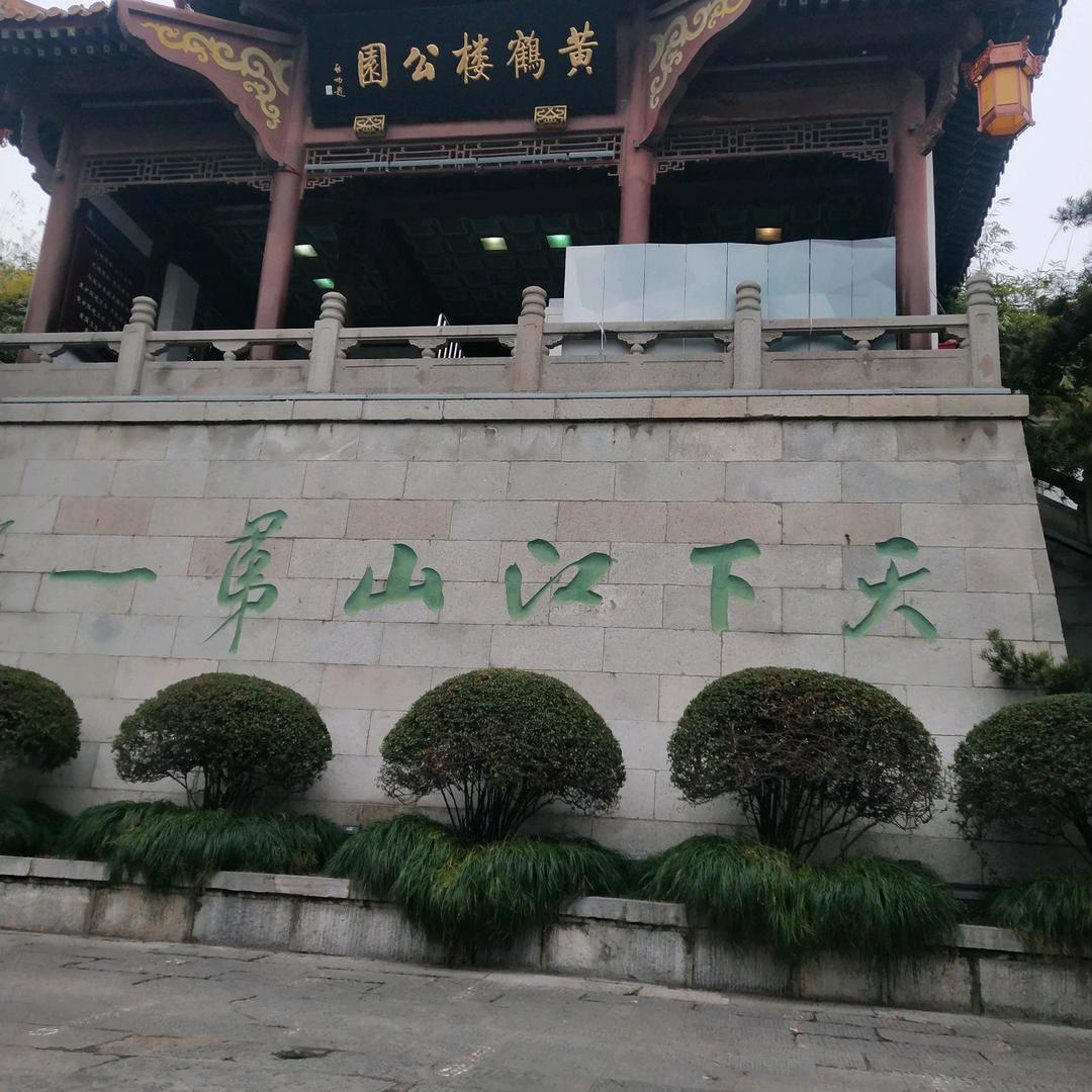 电哥