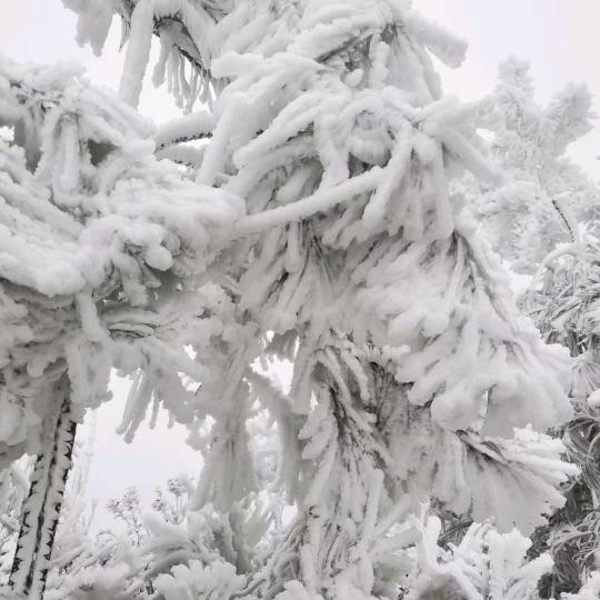 做你唯一