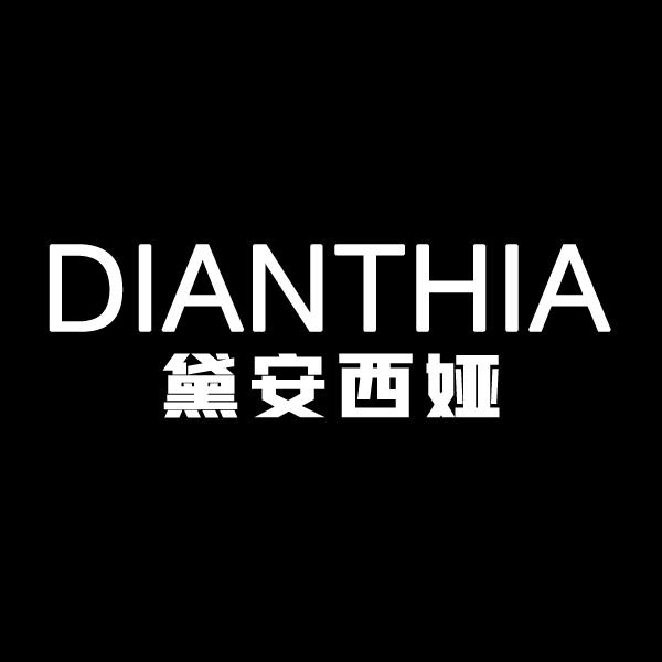 广州黛安西娅服饰有限公司的小店