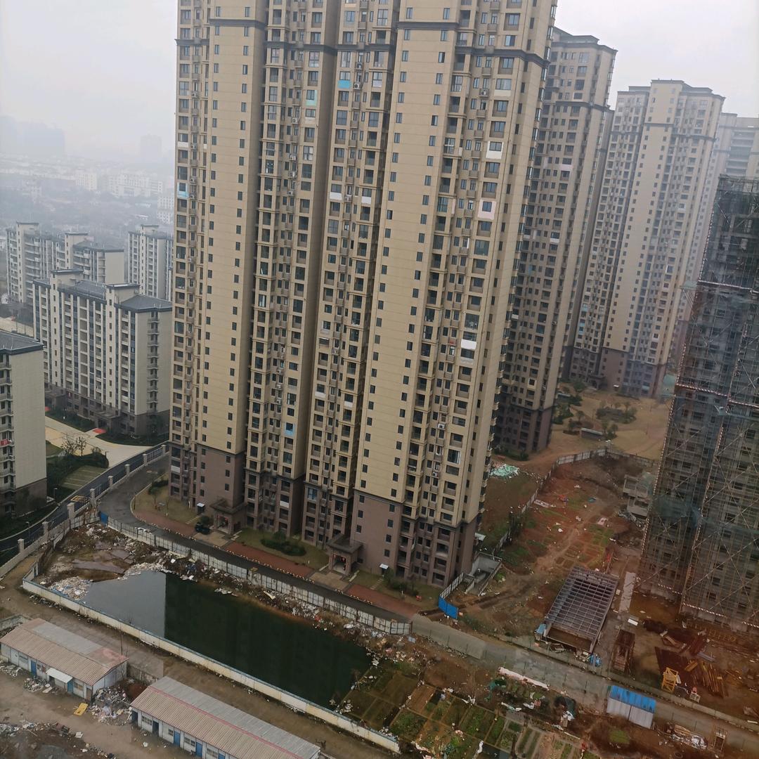 不将就丫头