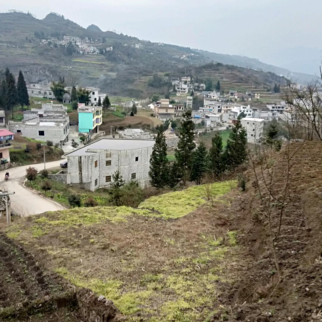 平平淡淡才是福