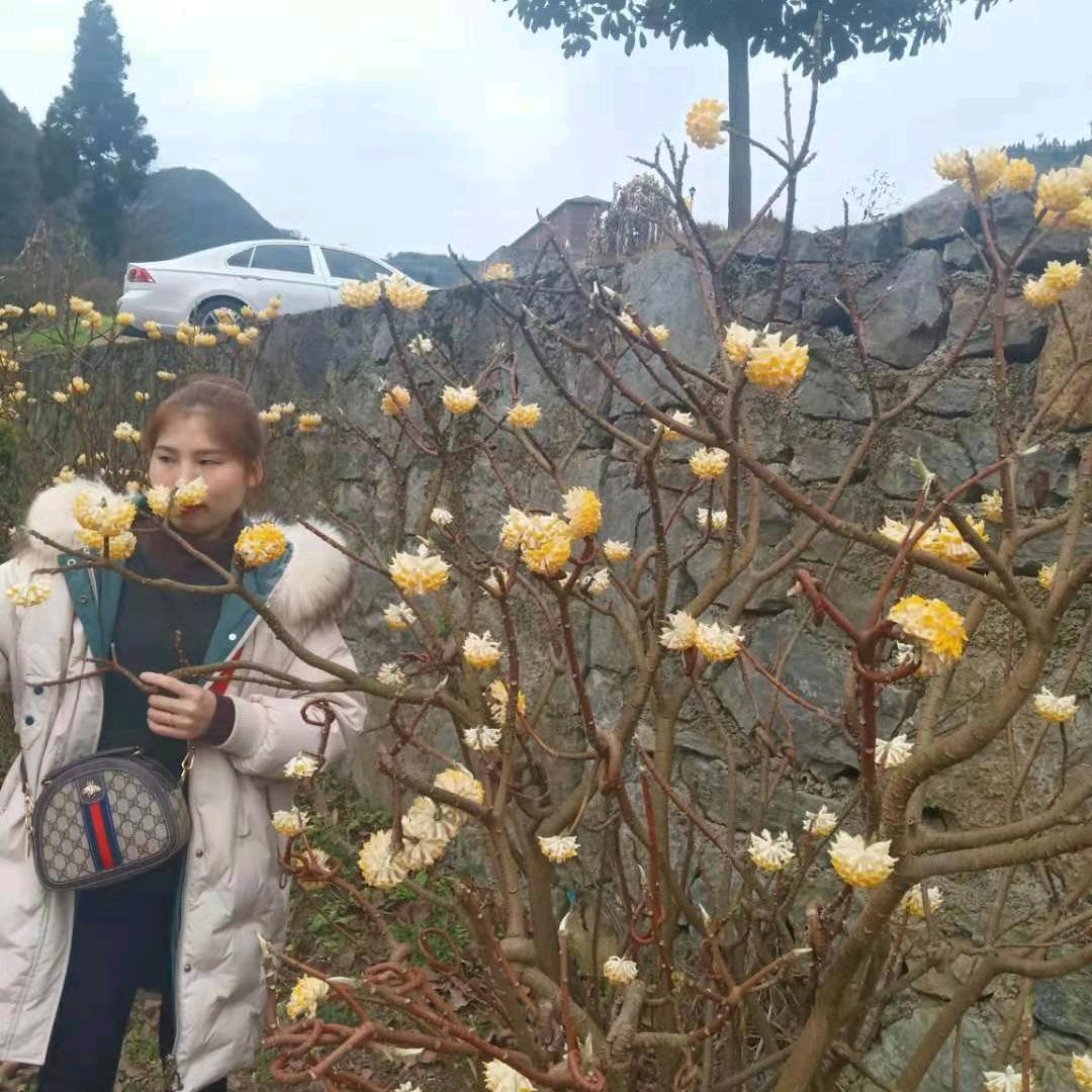 赵家大千金