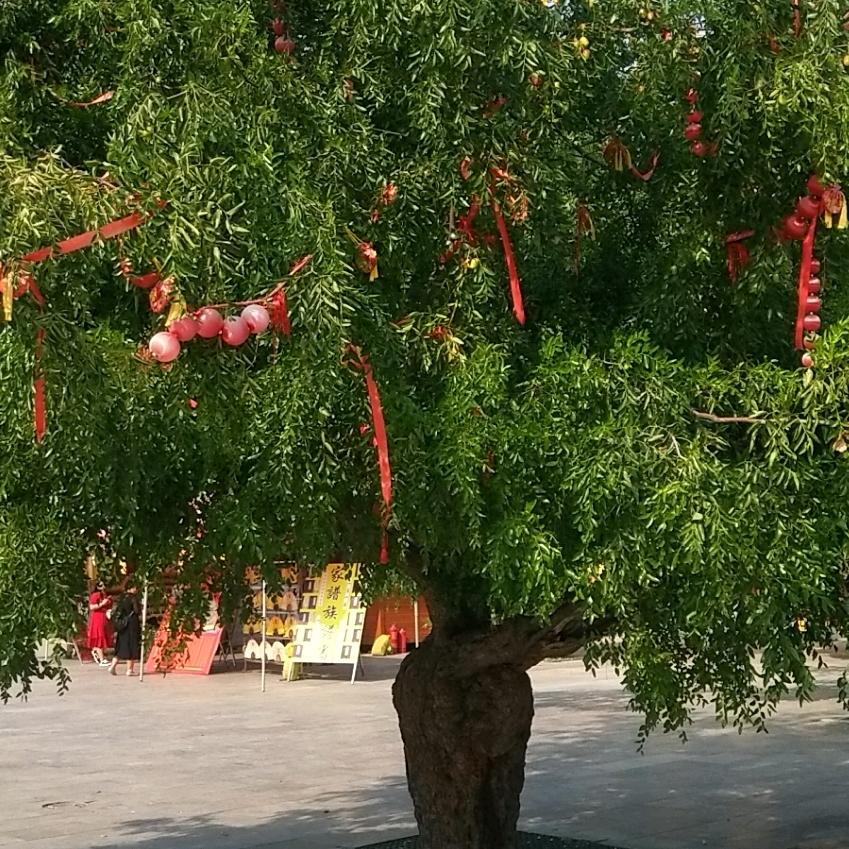 逆暖