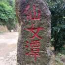 我的快乐就是想你