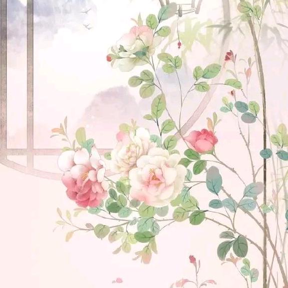 圈圈ʕ ᵔᴥᵔ ʔ