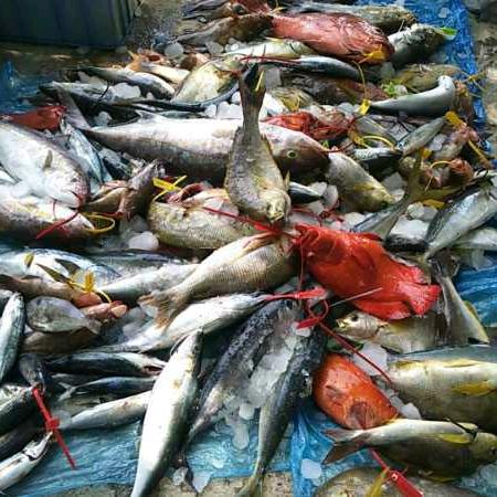 ಇ᭄杨ོ💗ꦿ¹³¹⁴🚬ಇ᭄杨ꦽོ