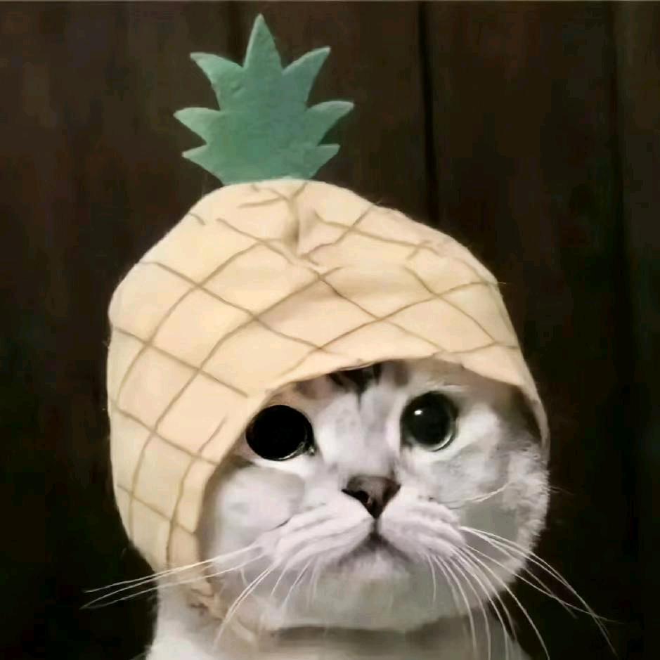 不甜的菠萝
