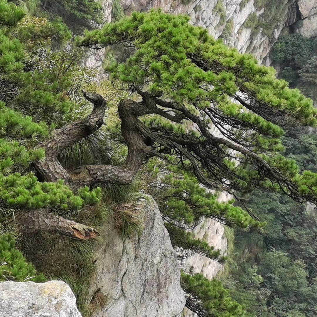 与文慧心