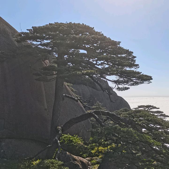乐享一生