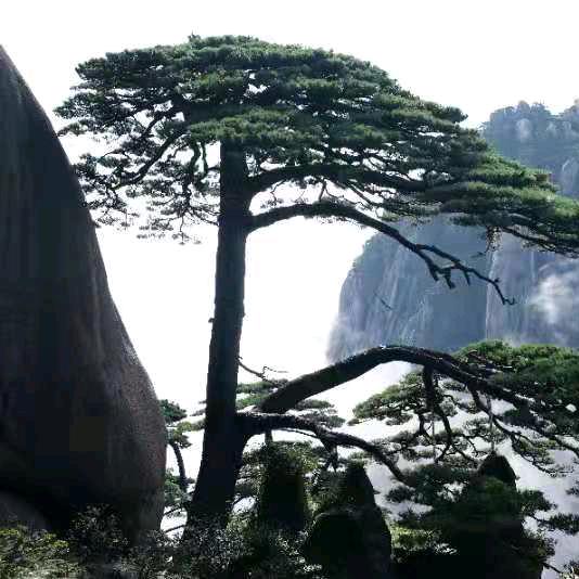 下一站幸福