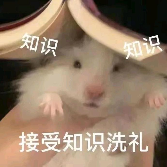 宁惜头像