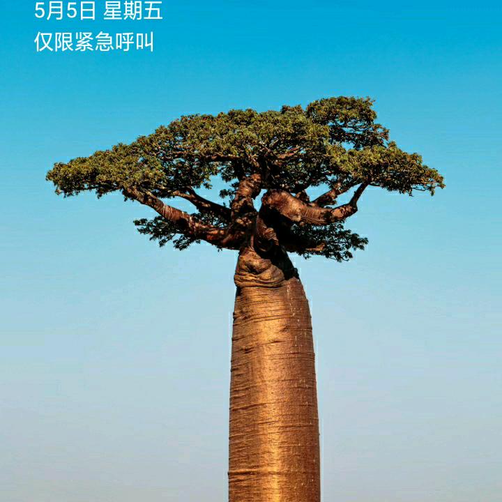 人生道路好坎坷