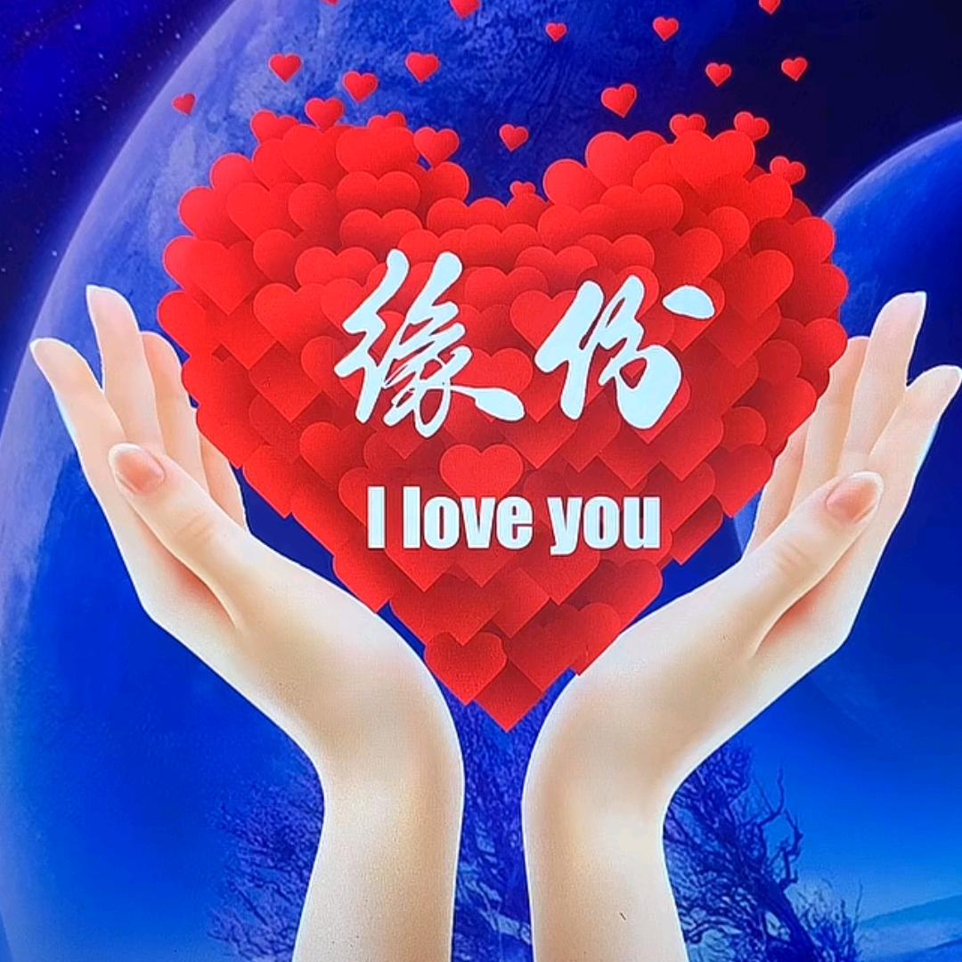 缘分……呐