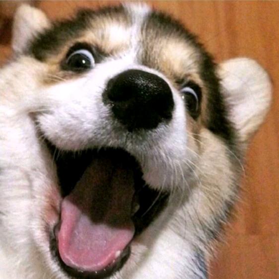 ioooooooo