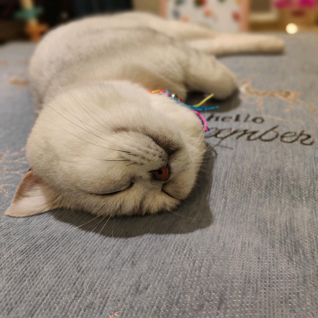 ༒࿈麋༙྇鹿༙྇࿈༒