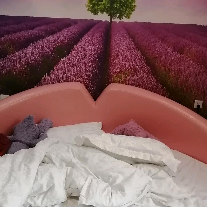 🌹花开花落🌸