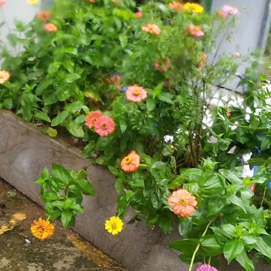 富顺县峰高服饰有限公司