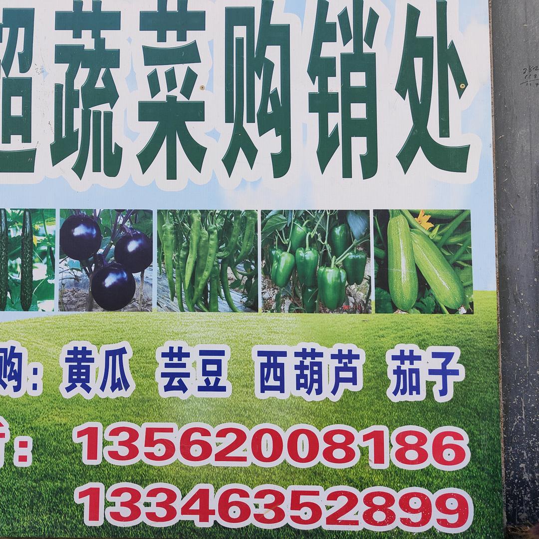 蔬菜购销公司