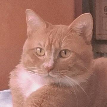 甜妹小婷（赚钱养娃版）