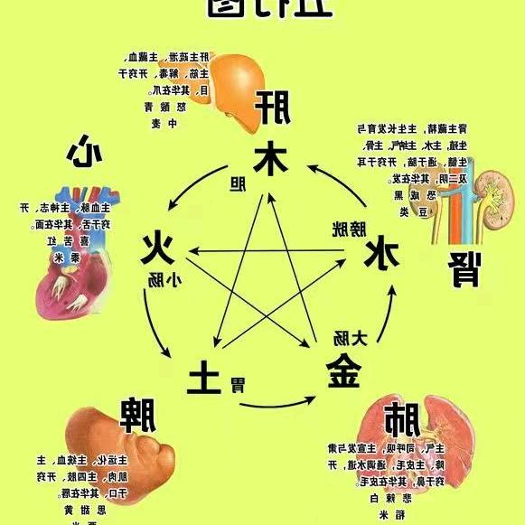 进化%系统