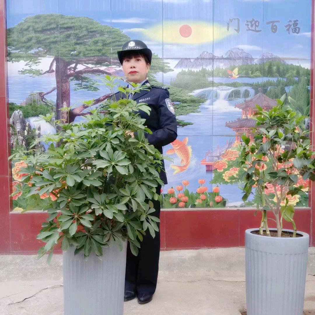 桃花妹